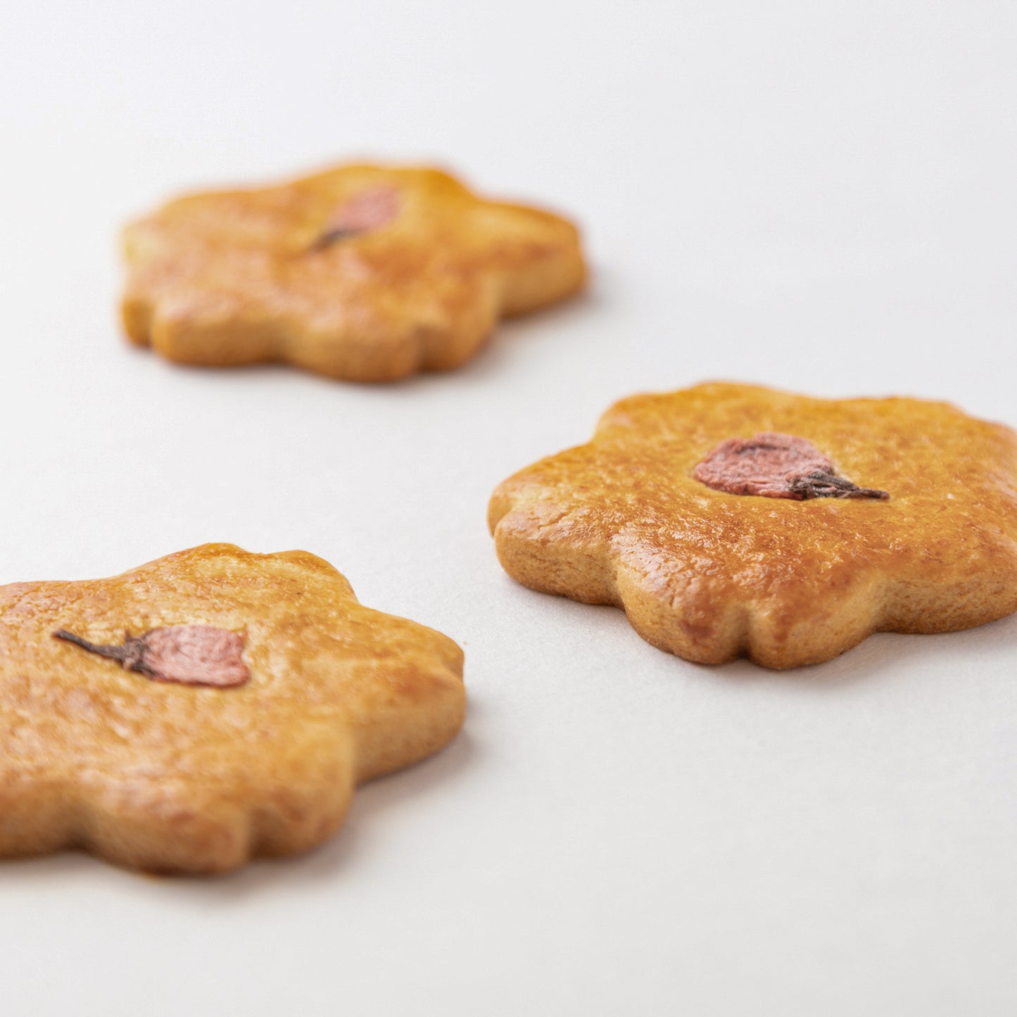 郷愁サブレ 5枚入(専用箱入)