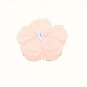 撫子　 / 　Nadeshiko　/　８月