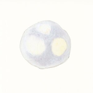 銀杏もち / ginnnannmochi　12月