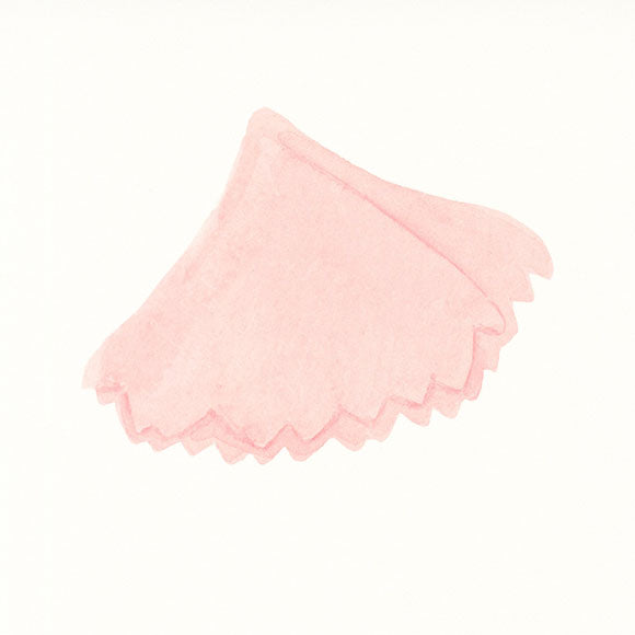 花衣/hanagoromo　３月