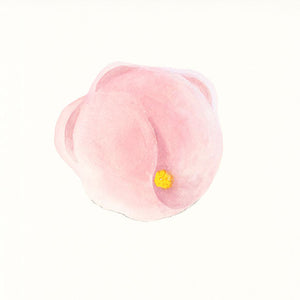 香梅 / koubai　２月